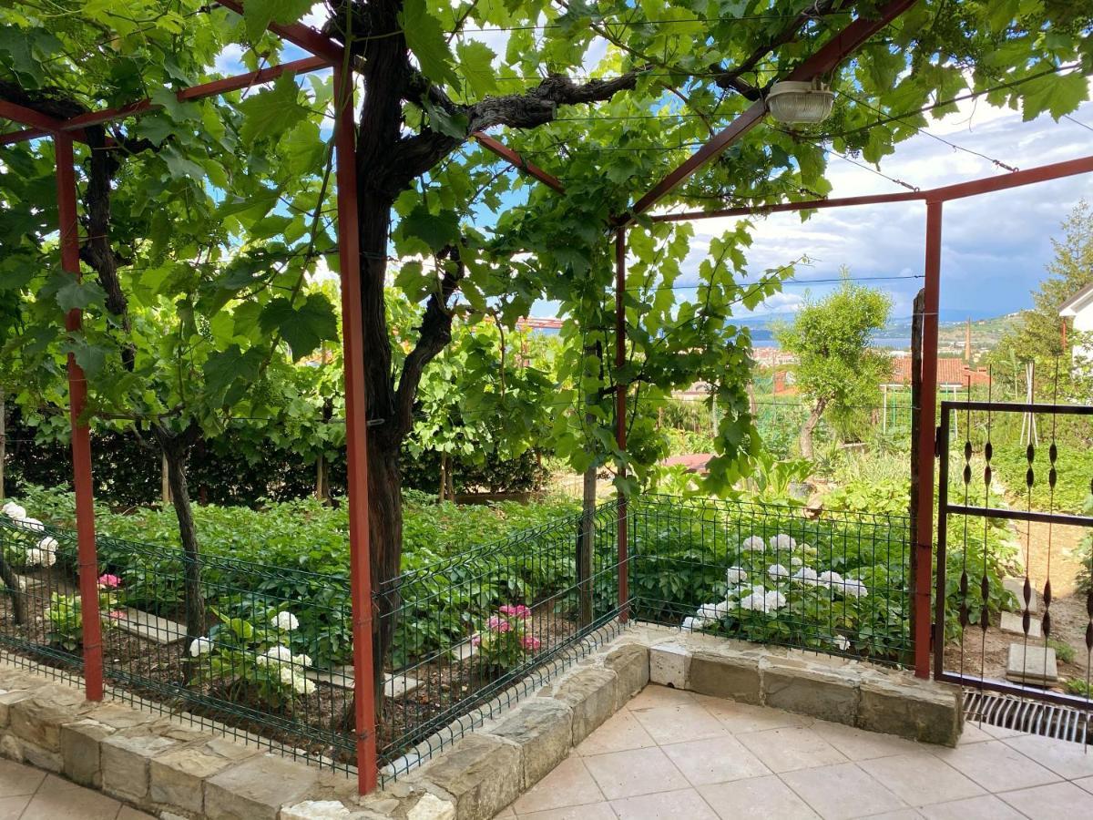 Apartment Gregoric イゾラ エクステリア 写真
