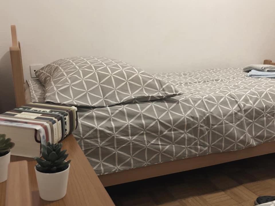 Apartment Gregoric イゾラ エクステリア 写真